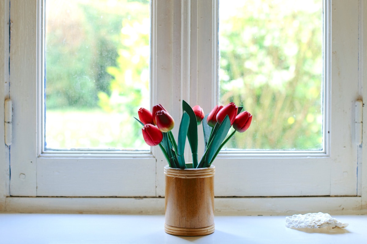Energy-efficient window replacement in Southern California